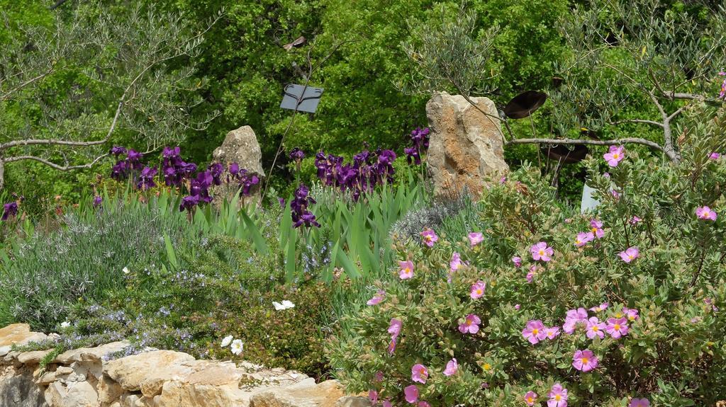Les Hauts Des Materonnes Tourves Bagian luar foto
